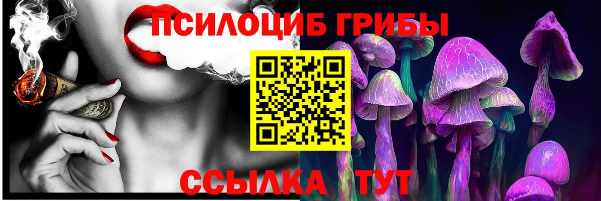 Галлюциногенные грибы Cubensis Азов